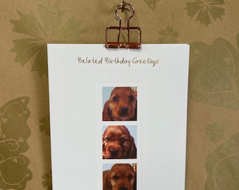 Happy Belated Birthday Greetings Card