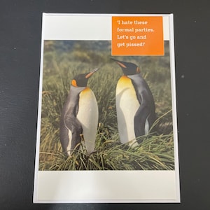 Pingouin grossier drôle carte de vœux d’anniversaire
