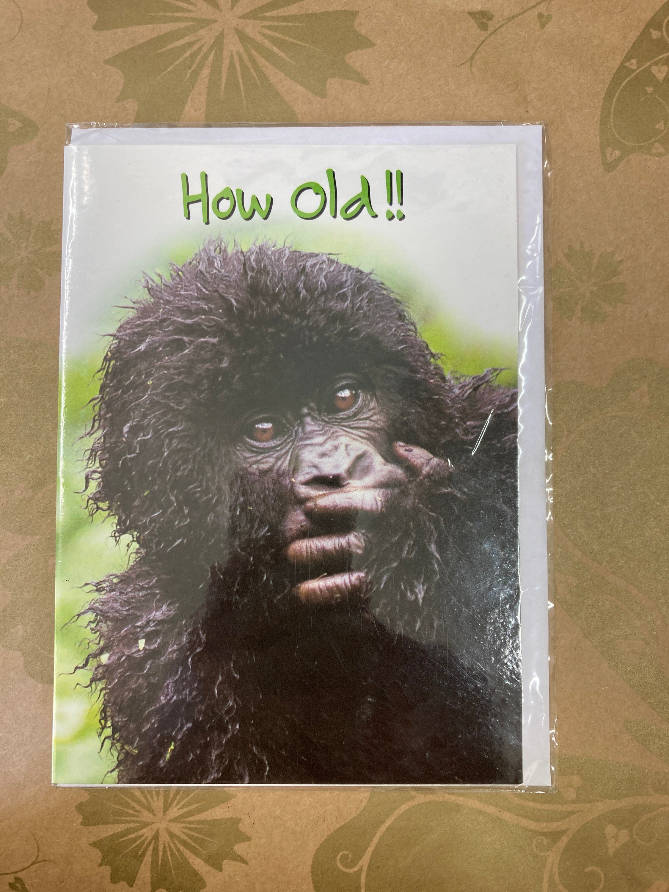 Silverback Gorilla Card A6 Gorilla Gifts, Monkey Birthday Card, Gorilla  Drawing, Ape Art Card, Gorilla Fathers Day Greeting Card 