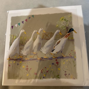 Patos e Gansos Cartão de felicitações em branco