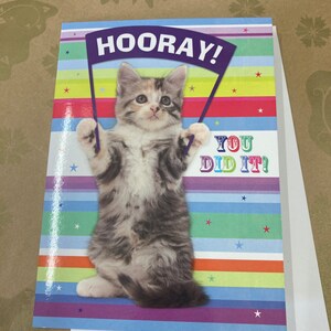 Hooray You Did It Cat Tarjeta de felicitación