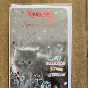 Chaton Joyeux anniversaire Carte de vœux