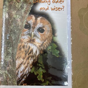 Carte de vœux d’anniversaire Growing Older Owl