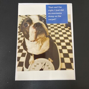 Hund lustige unhöfliche Glückwunschkarte zum Geburtstag