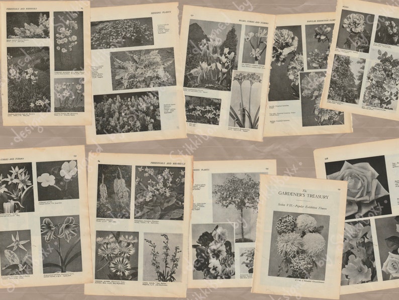 Vintage Flower Book Pages Digital Download Printable Junk Art Journal ...