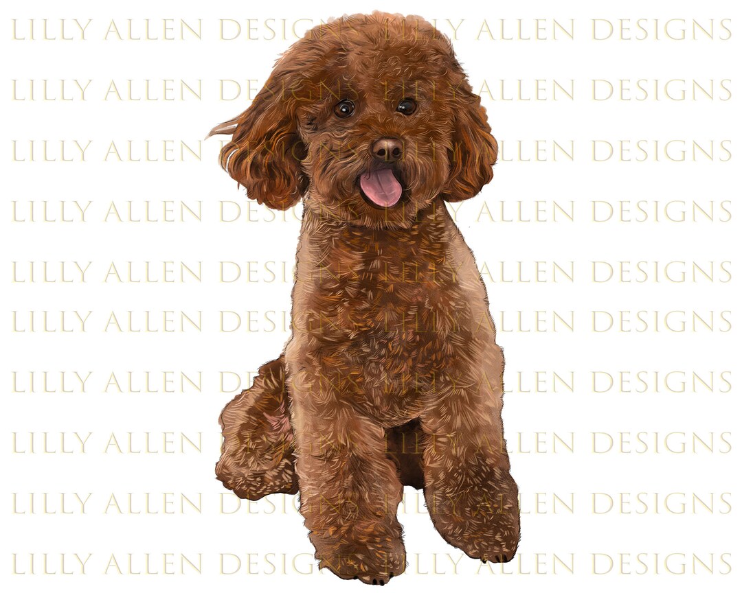 Poodles Lllustrations Png Digital Download, Dog Png, Printable Poodles ...