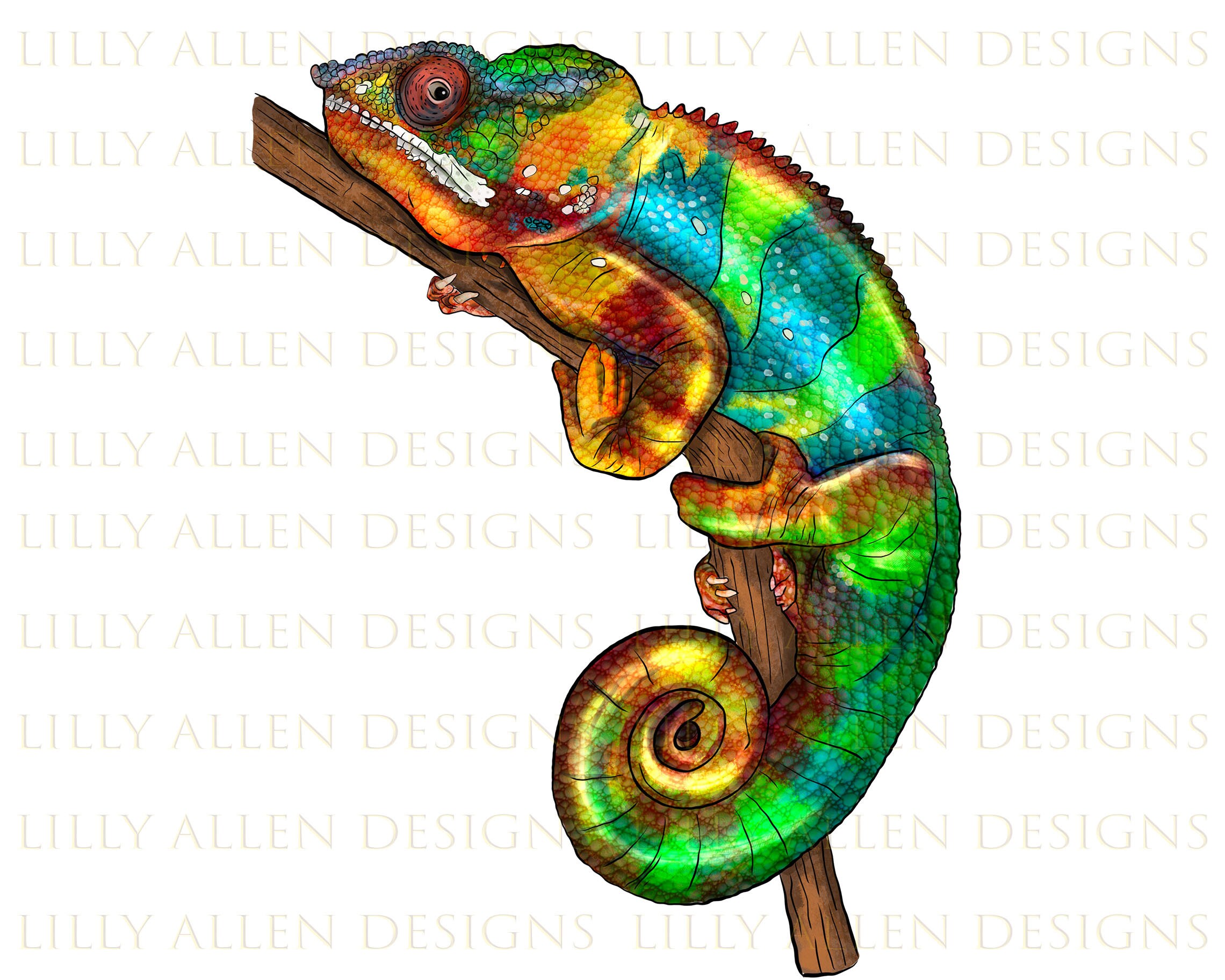 Baby Chameleon Reptile PNG Clipart, Transparent Animal Lover Print