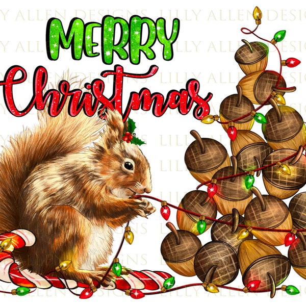 Merry Christmas Squirrels Png Sublimation Design, Merry Christmas Png, Christmas Animals Png, Christmas Squirrels Png, Digital Download