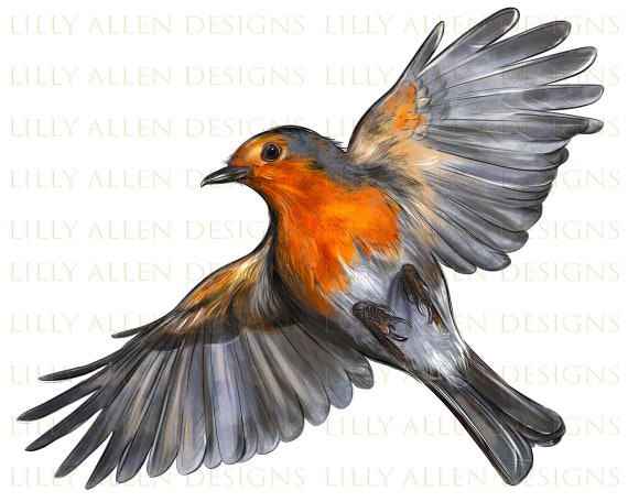 robin flying clipart