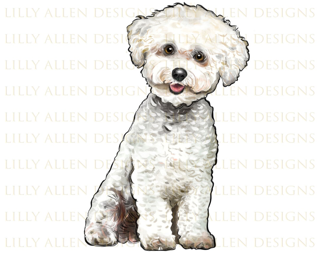 Bichons Frise Dog Illustrations Png Digital Download,dog Png,printable ...