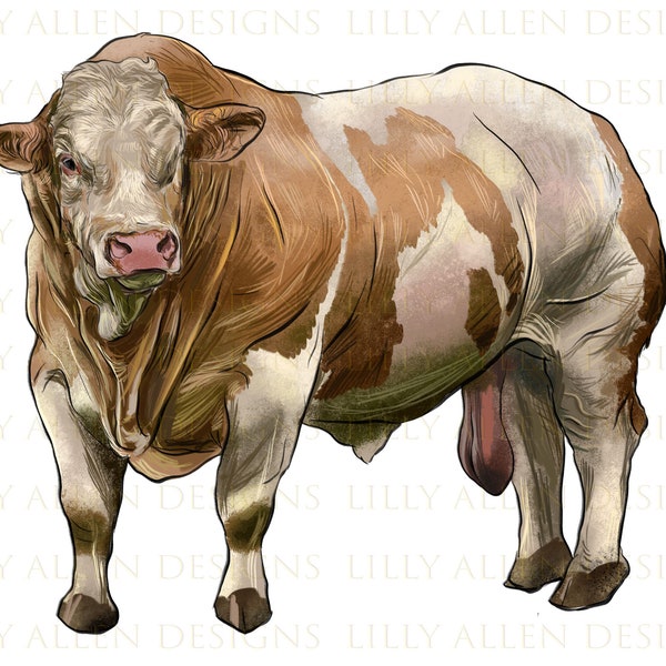 Simmental Bull Svg - Etsy