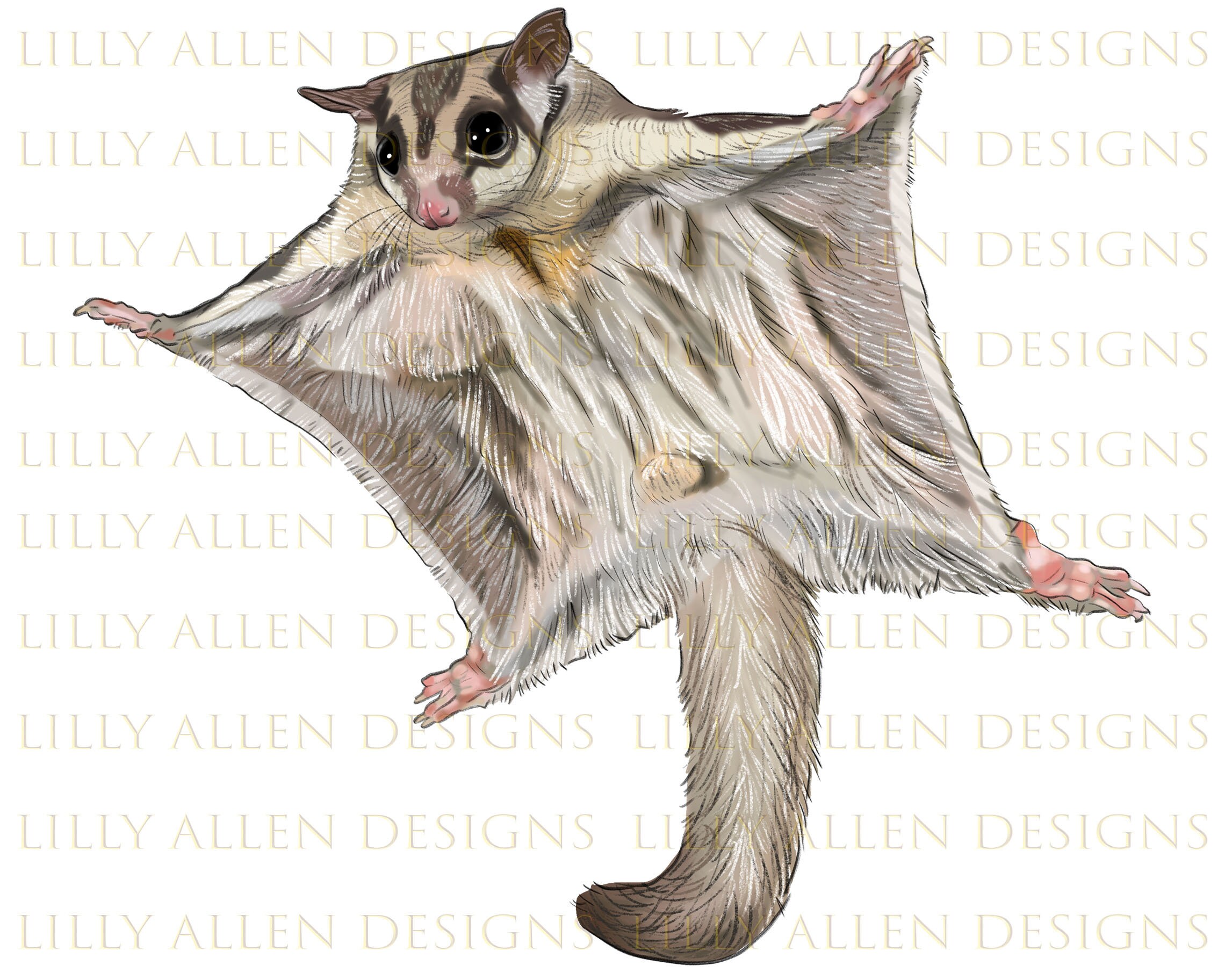 Sugar Glider Svg - Etsy New Zealand Sugar Glider Svg - Etsy New Zealand