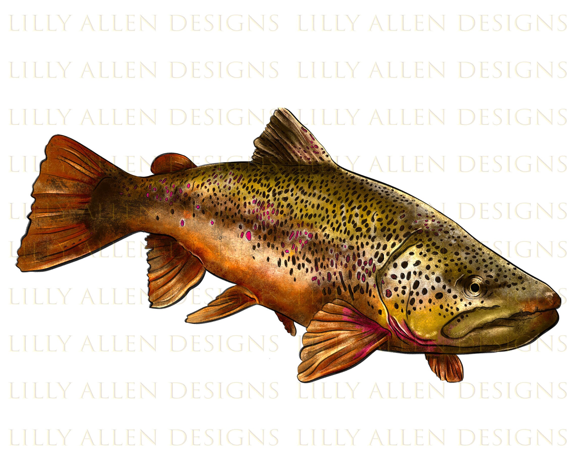 Brown Trout Illustrations Png Digital Download, Fish Sublimation Png, Printable Fish Png Image