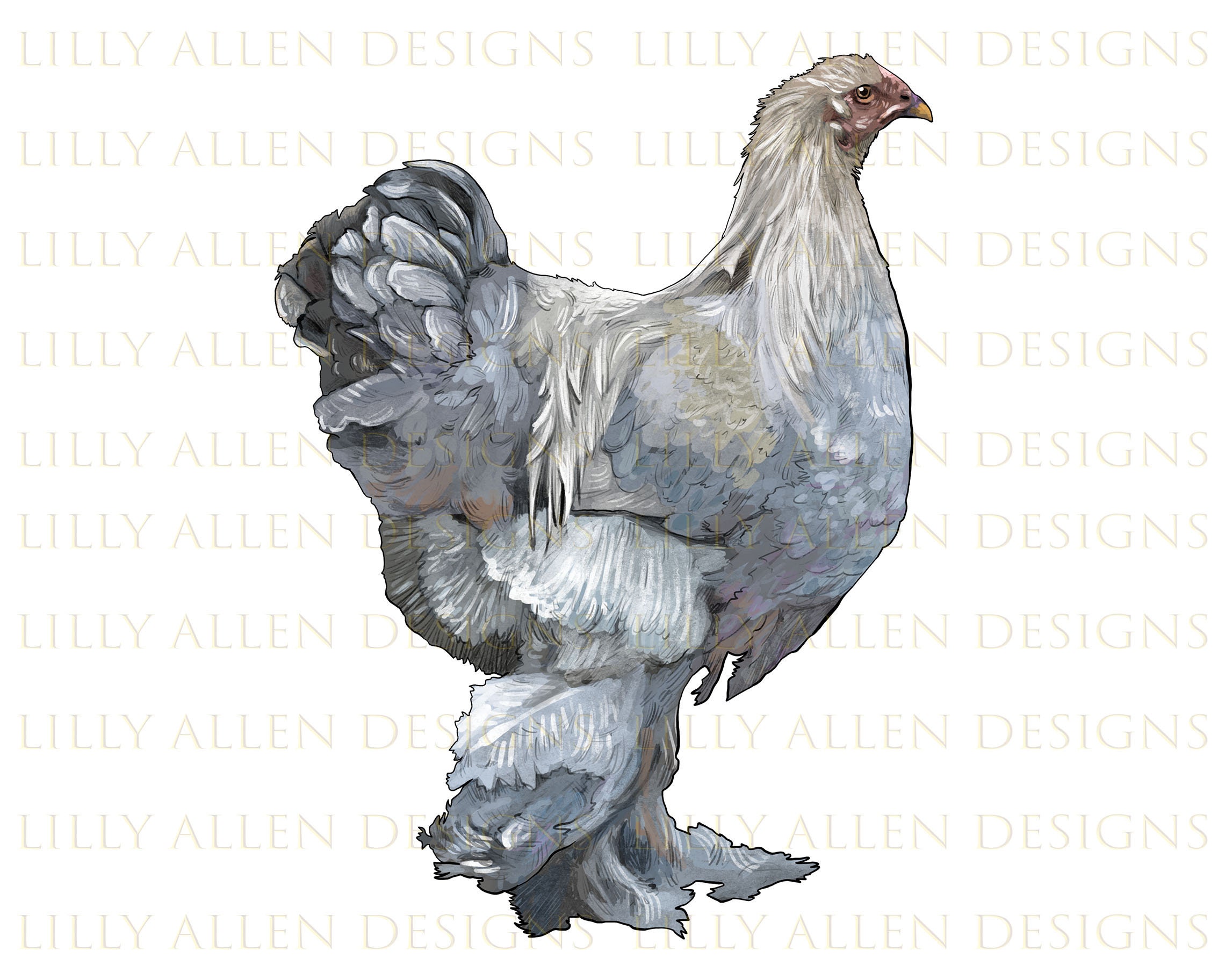 Brahma Chicken Png, Chicken Png, Brahma Chicken Sublimation Design