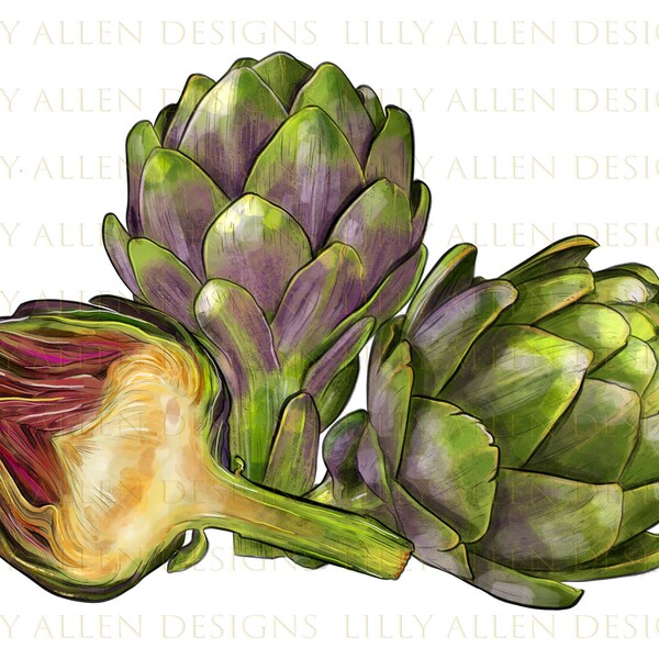 Artichoke Png Sublimation Design, Hand Drawn Artichoke Png, Hand Drawn Artichoke, Artichoke Clipart, Vegetables Png, Gardening Png, Download