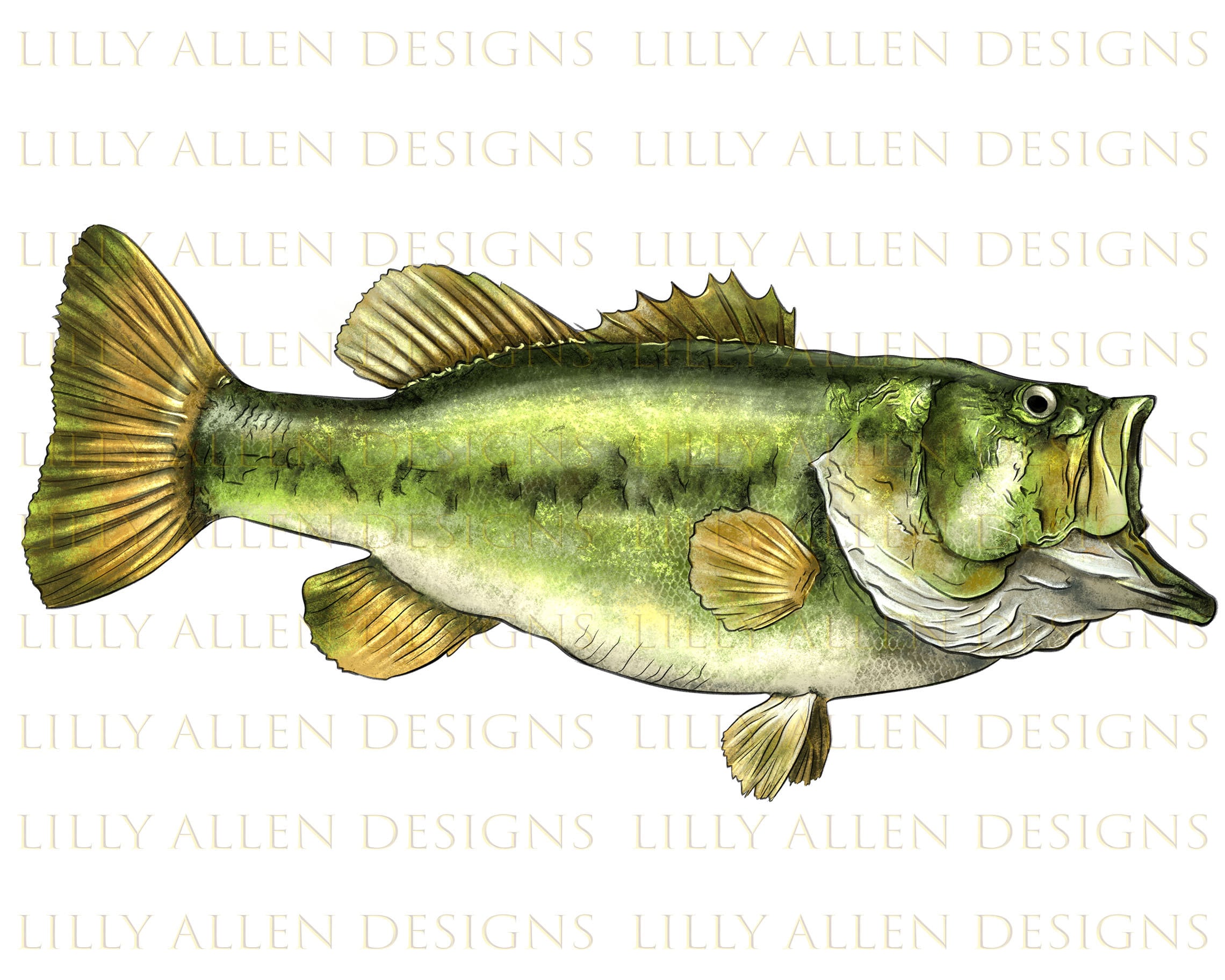 Spotted Bass Fish Illustrations Png Digital Download, Fish