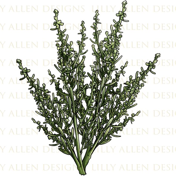 Sagebrush Craft - Etsy
