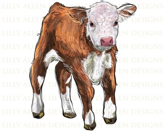 Hereford Calf Png, Western Hereford Calf Png, Hereford Png, Calf Sublimation Design, Hand Drawn Hereford Calf Png,Calf Png,Digital Download