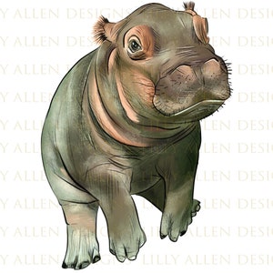 Hippo png images