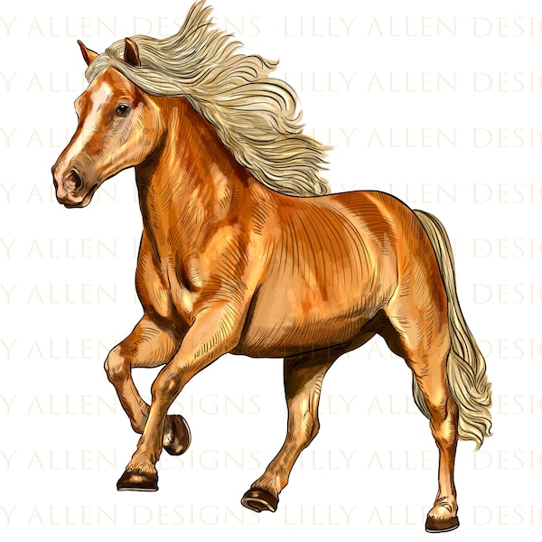 Haflinger Horse Png, Horse Clipart, Horse Png Sublimation Design, Hand Drawn Haflinger Horse Png, Avelignese Horse Png, Digital Download