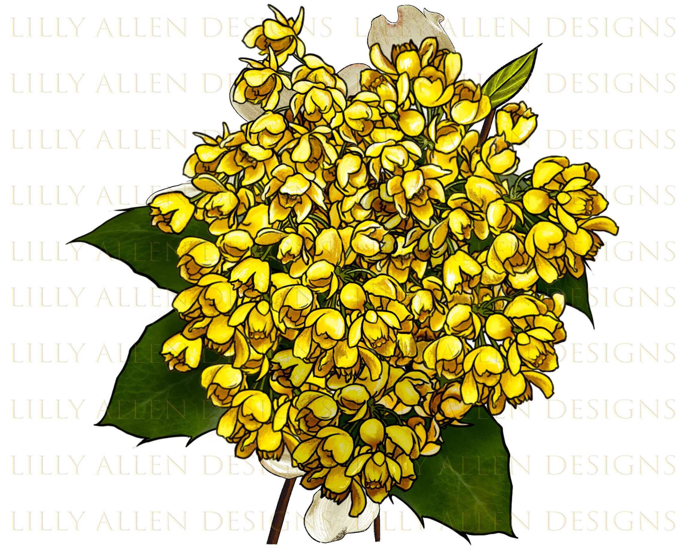 Image of Oregon grape flower digital illustration