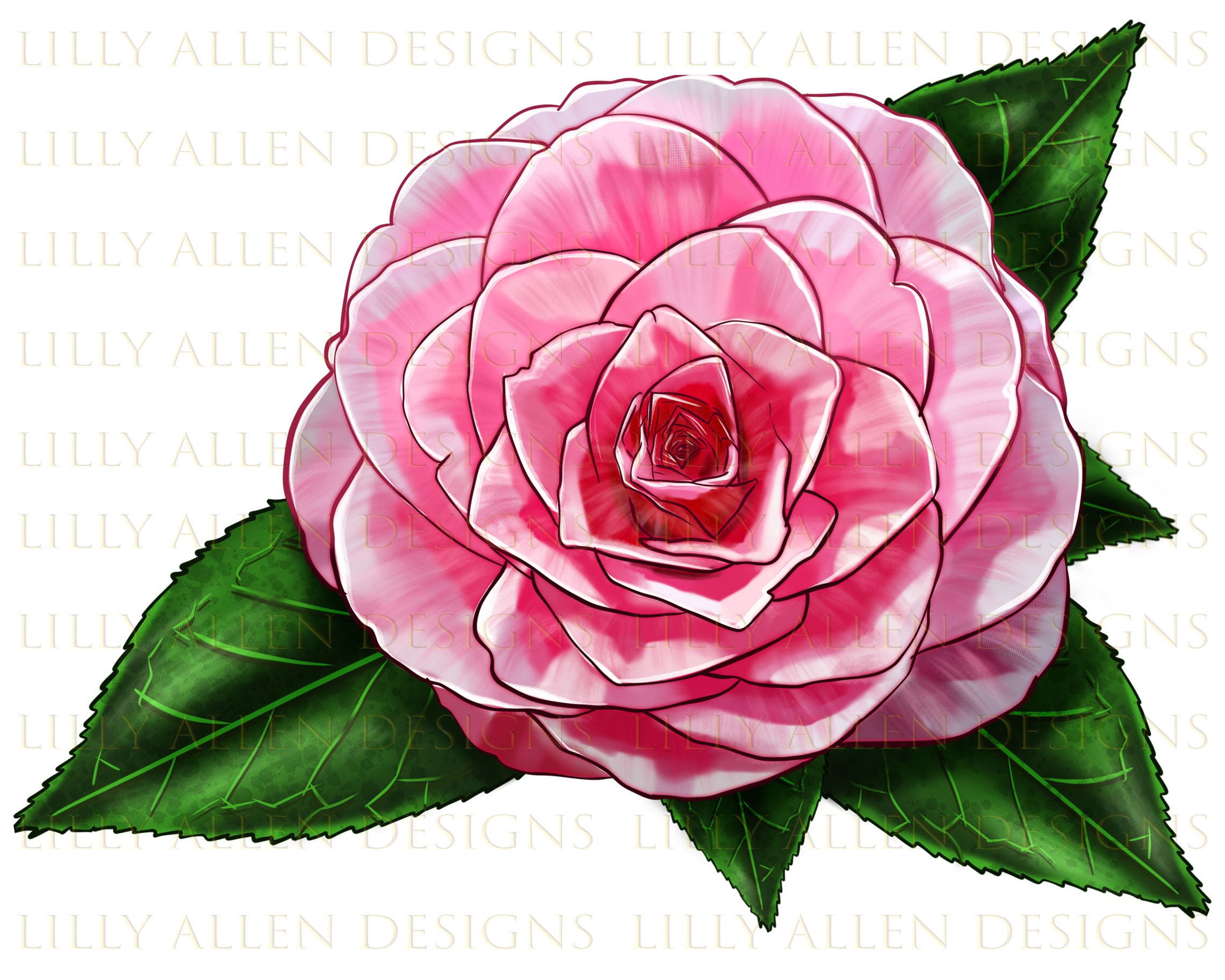 Camellia Flower Illustrations Png Digital Download,flower Sublimation Png,  Printable Pink Flower Png Image for Wall Art, Decoration, Crafts -   Finland
