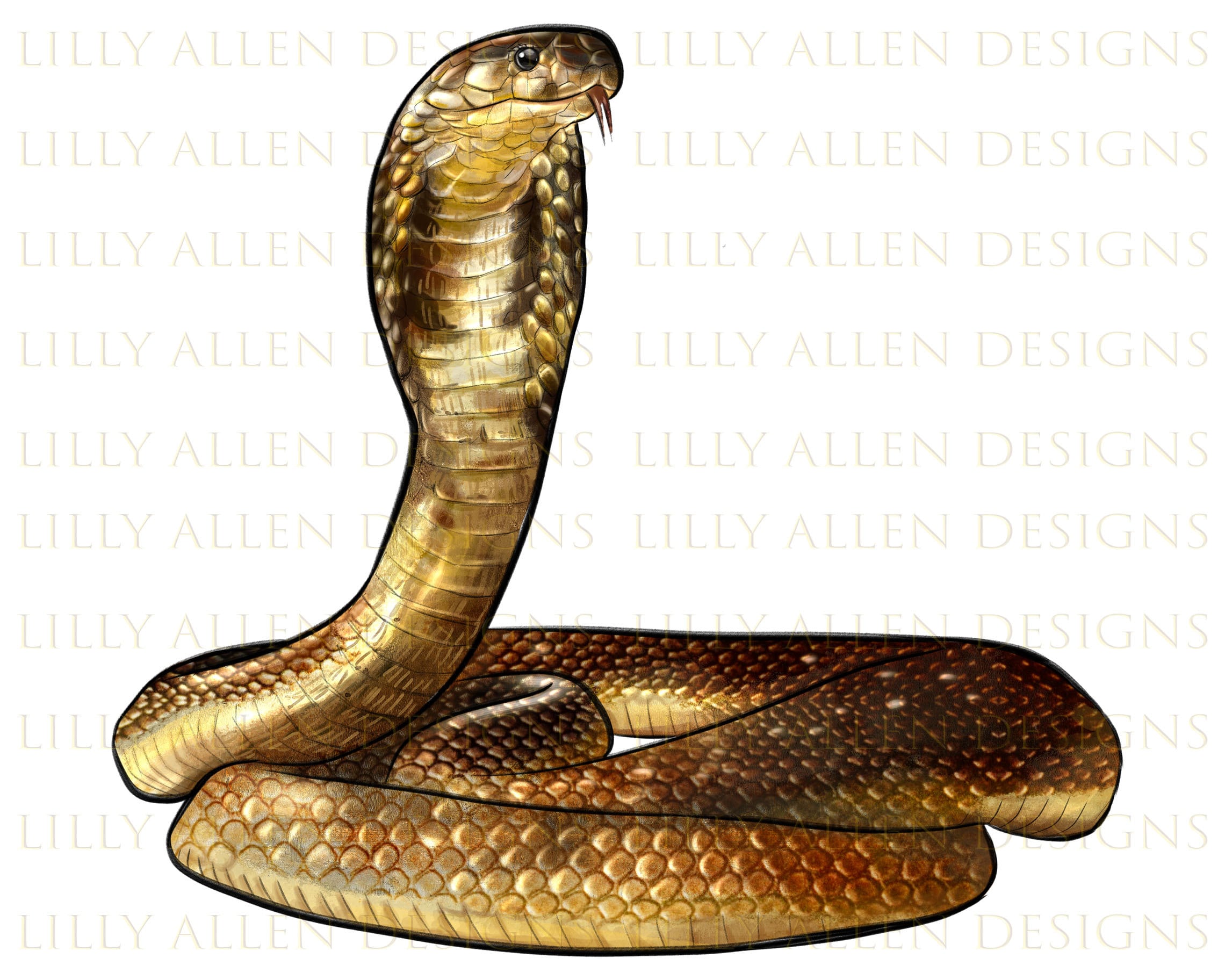 serpiente cobra - Buscar con Google  King cobra snake, Cobra snake, Snake  images