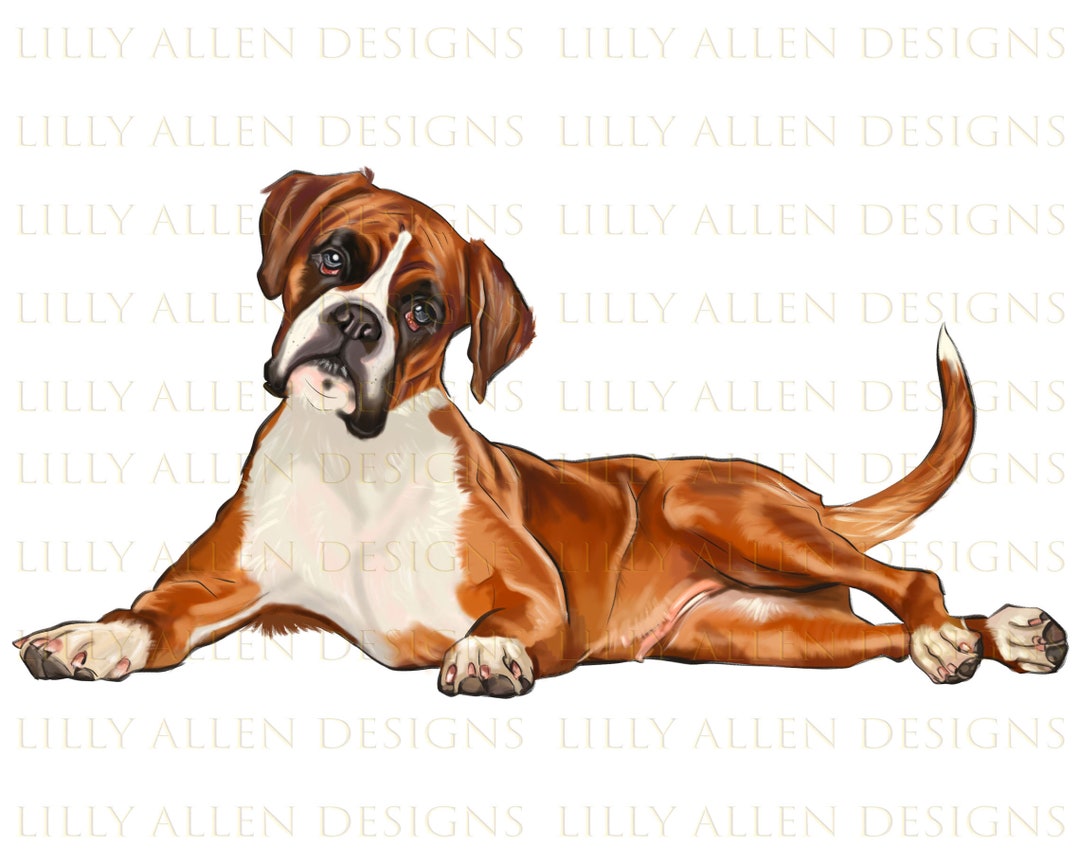 Boxer Dog Art - Watch Leah's Drawing Online - ItsaBoxerDogsLife