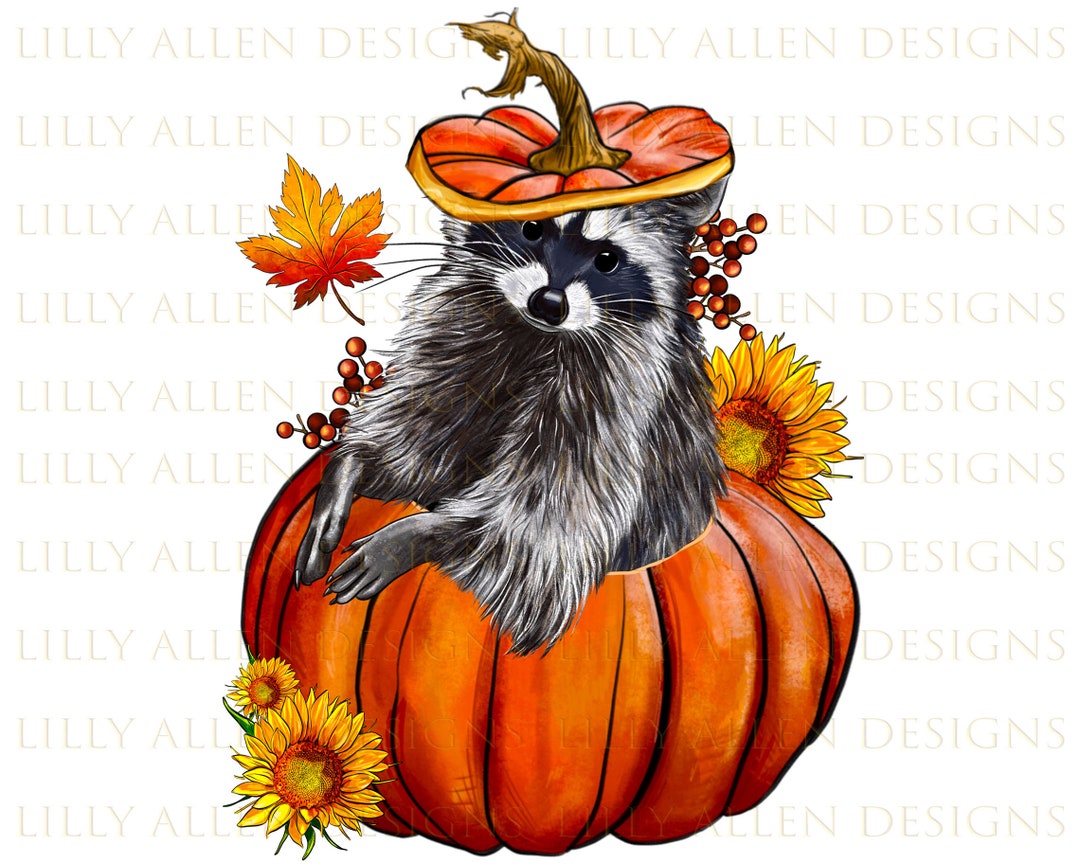 Fall Pumpkin Raccoon Png Sublimation Design, Fall Png,fall Vibes Png ...