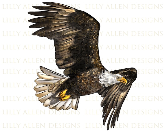 Águila de cabeza blanca png diseño de sublimación de águila - Etsy España