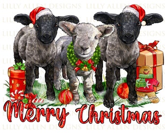 Merry Christmas Baby Sheeps Png Sublimation Design, Christmas Baby Sheeps Png, Merry Christmas Png, Christmas Png, Baby Sheeps Png Download