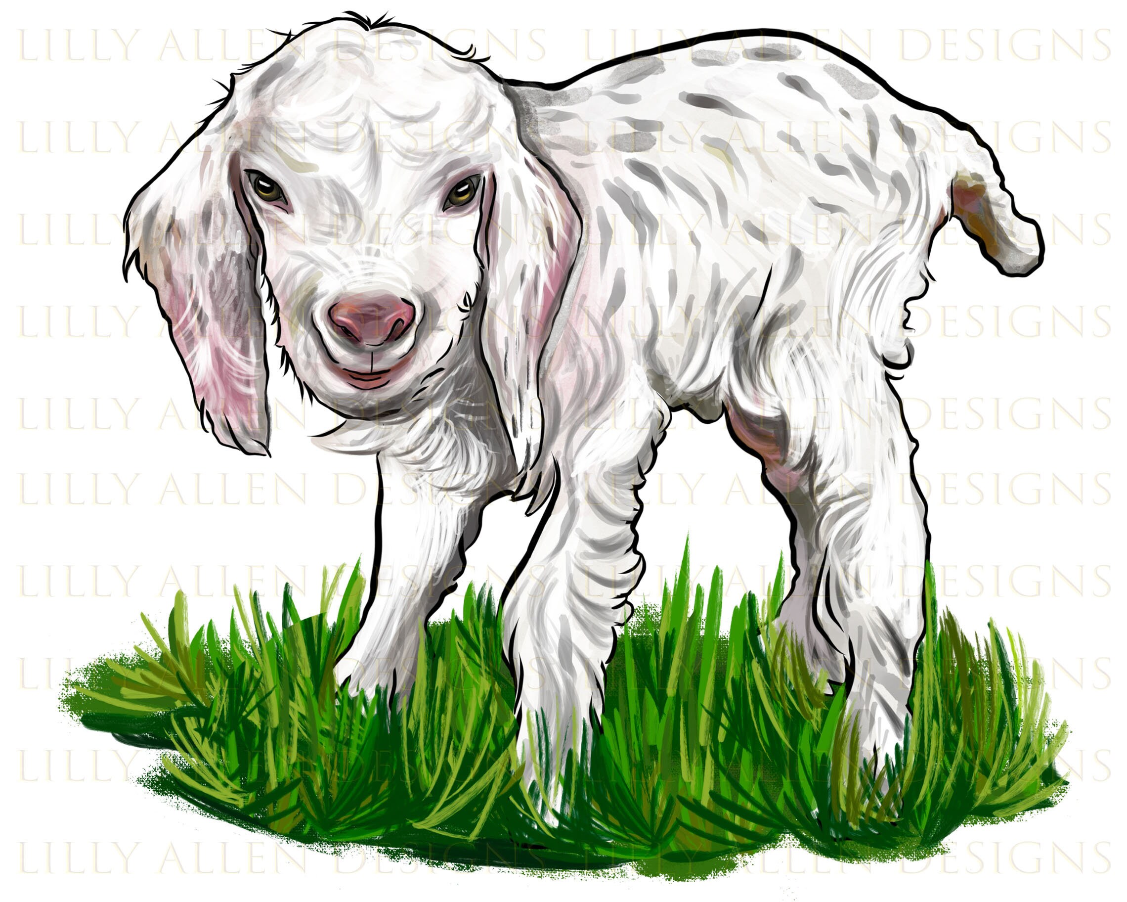 Angora Goat PNG, Vector, PSD, and Clipart With Transparent Background for  Free Download | Pngtree