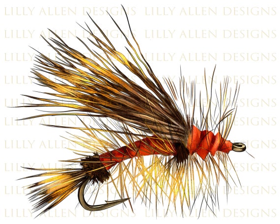 Fish Fly Png Sublimation Design, Fish Catch Equipment Png, Water Hun Png,  Fisherman Png, Fishing Png, Fly Fishing Png, Digital Download 