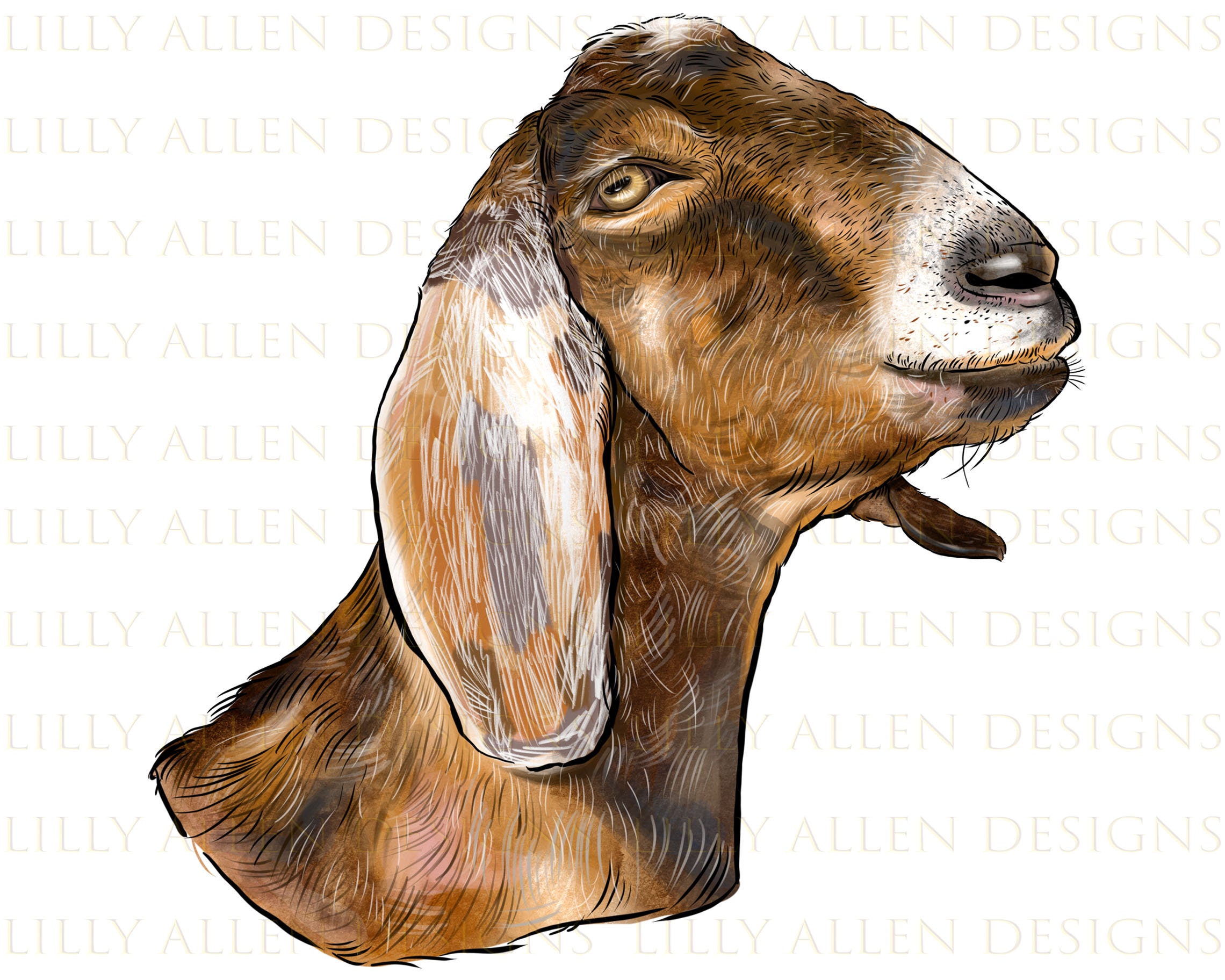 de cabra de Nubia png Cabra de Nubia diseño de - Etsy España