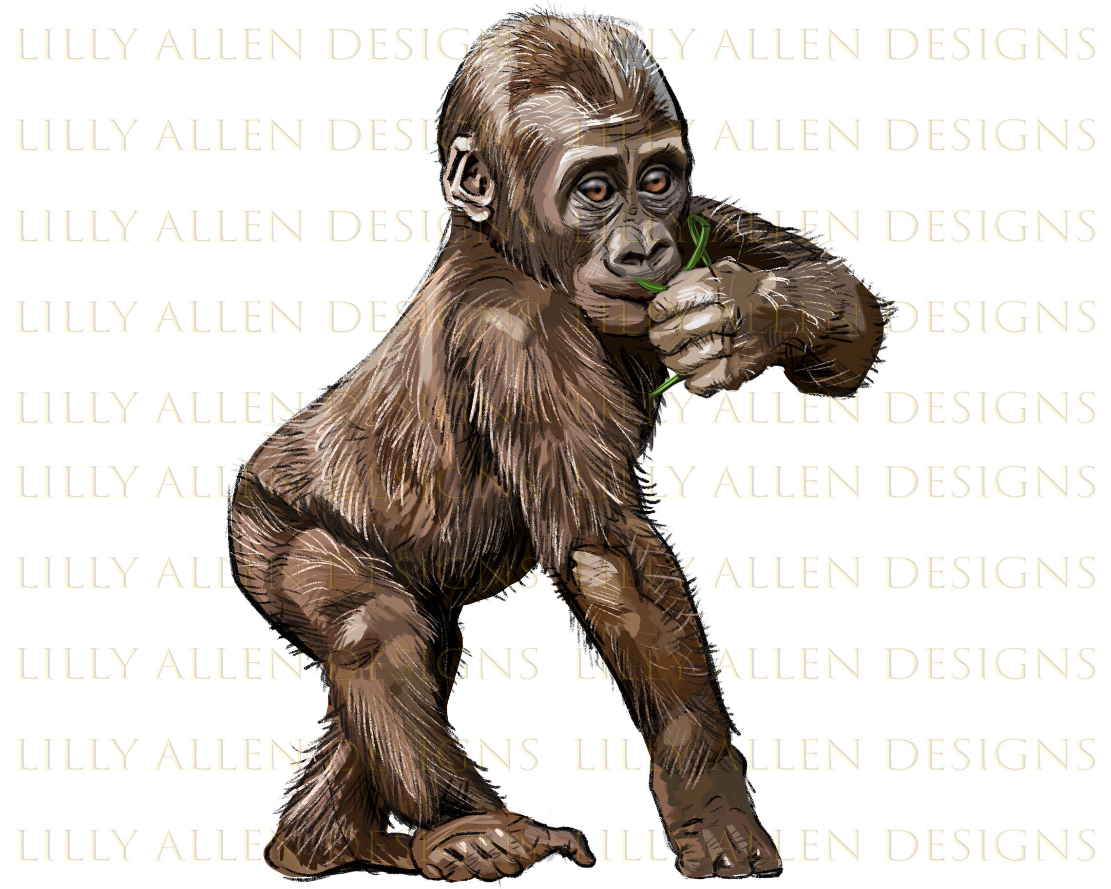 Baby Gorilla Png Gorilla Png Sublimation Design Hand Drawn Etsy 日本