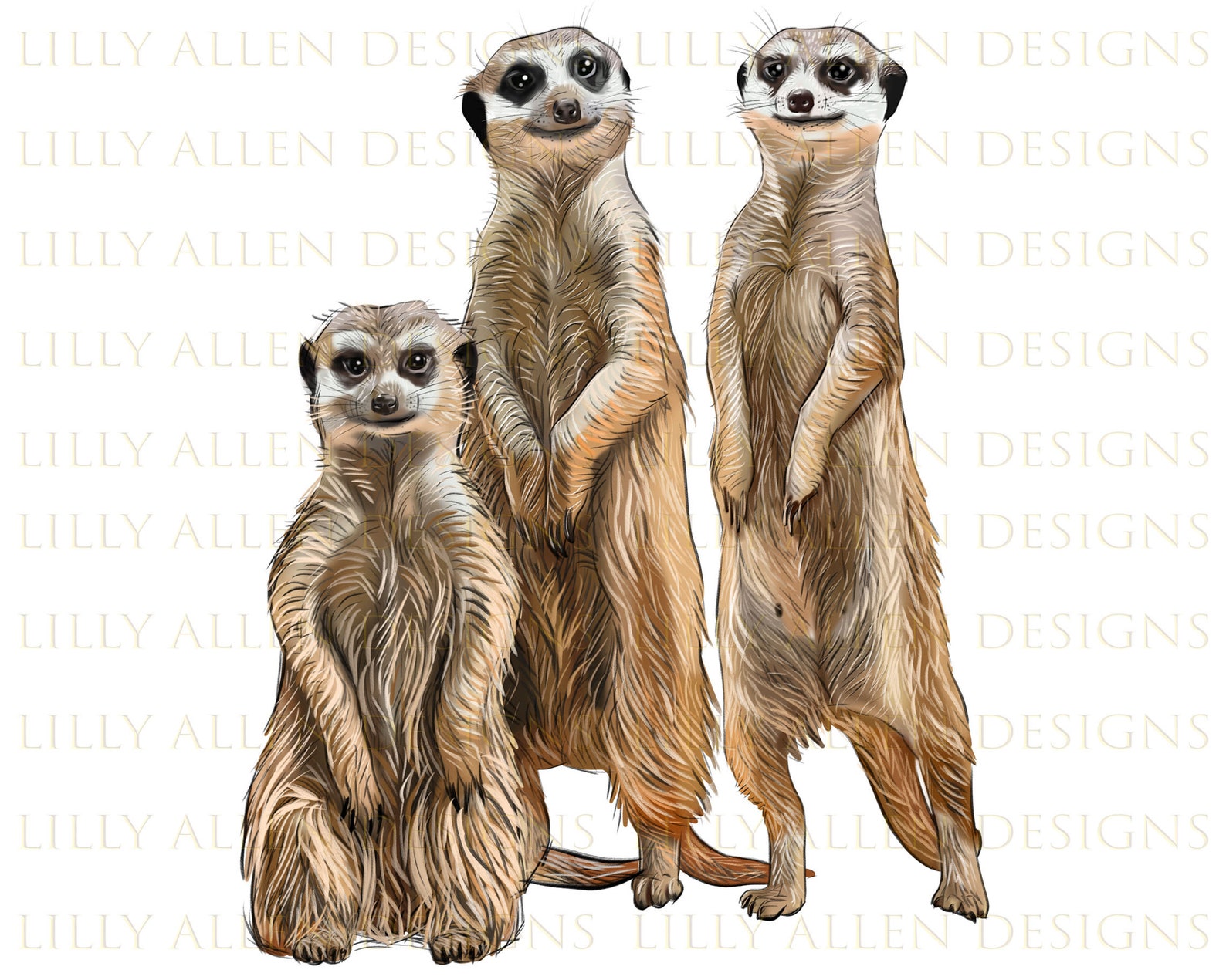 Meerkats Illustrations Png Digital Download Meerkat - Etsy