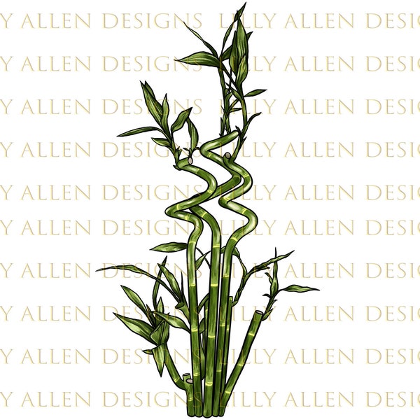 Lucky Bamboo Png Sublimation Design, Forest Clipart, Printable Png Images For Invitations,Tropical Plants Png,Botanical Plants Png Downloads