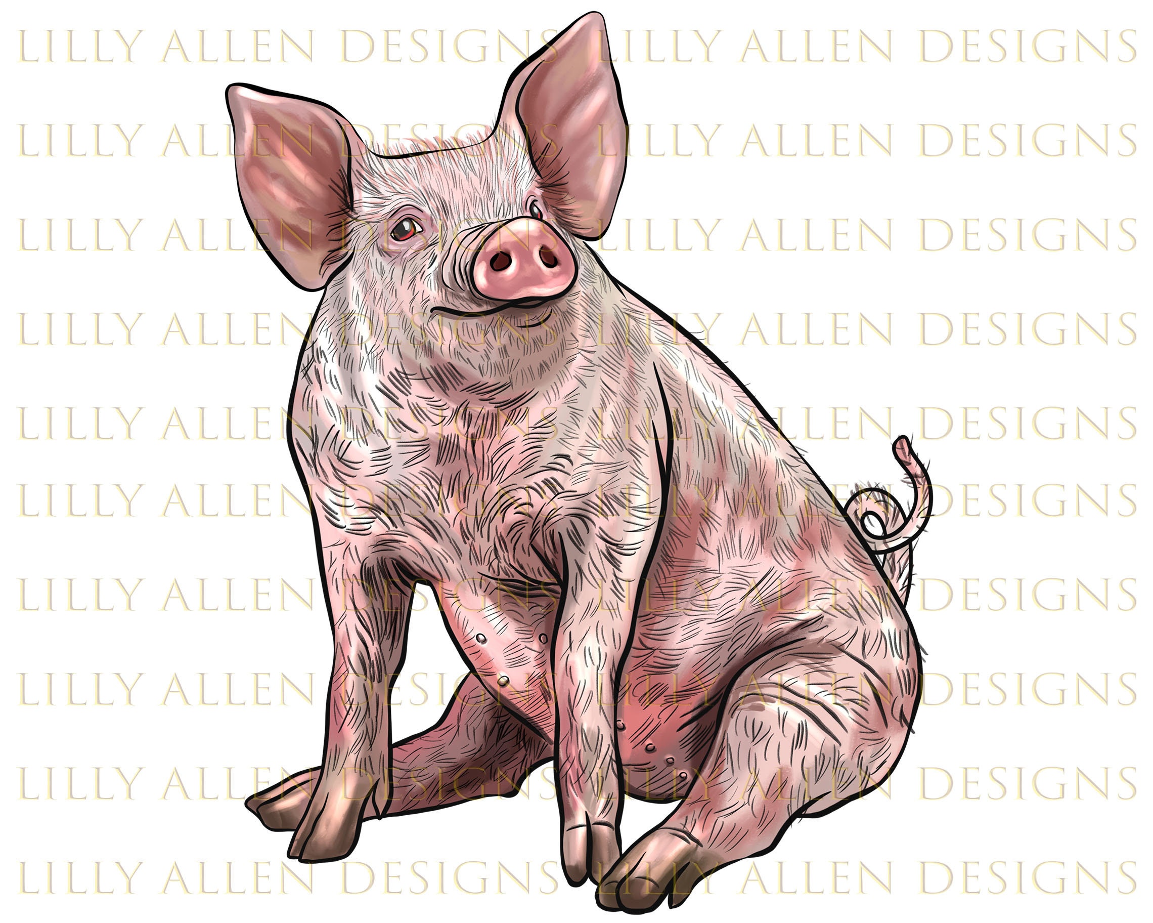 Yorkshire Pig Color: A Definitive Guide - 92kev07