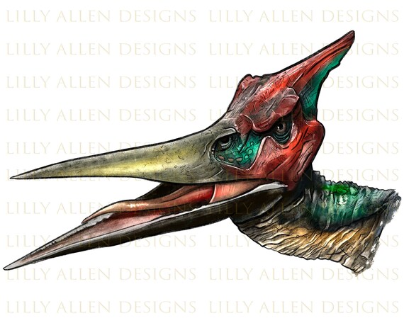 Pterodactyl Png Sublimation Design, Hand Drawn Pterodactyl Png,Pterodactyl  Portrait Png,Dinosaur Png,Dinosaur Portrait Png Digital Downloads