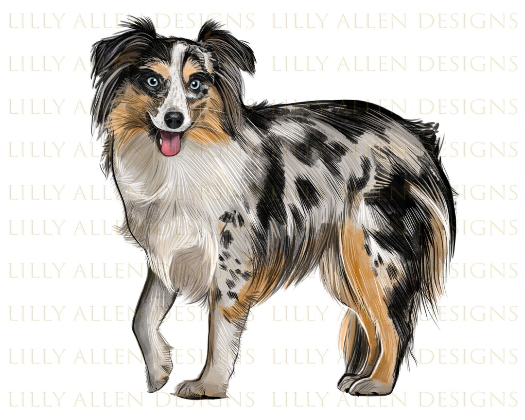 Australian Shepherd Dog Illustrations Png Digital Download, Printable Shepherd Png Image for ...