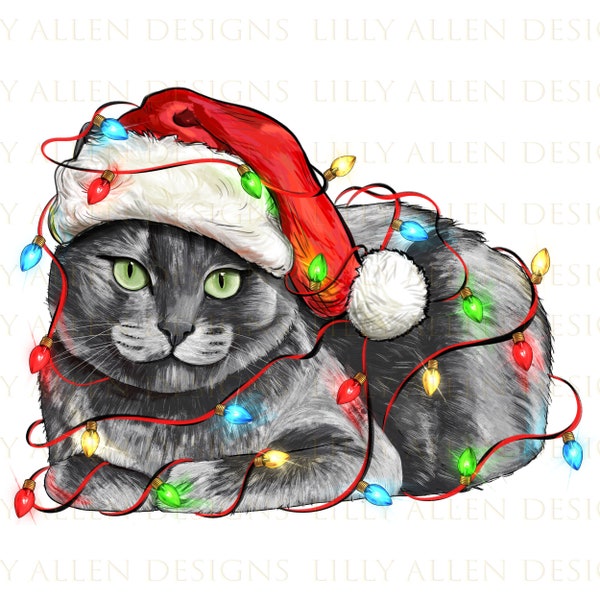 Christmas Russian Blue cat png sublimation design download, Merry Christmas png, Christmas cat png, Christmas lights png, sublimate download