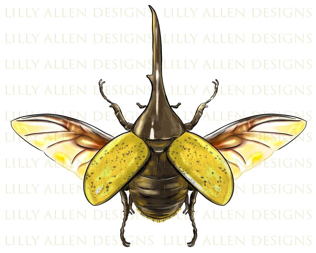 Hercules Beetle With Wings Png Sublimation Design, Bug Png, Hand Drawn Hercules Beetle Png,bug