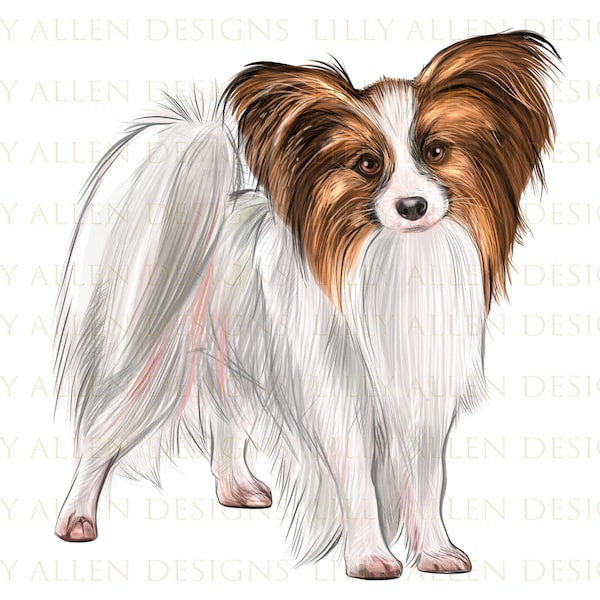 Papillon Dog lllustrations Png Digital Download, Dog Png, Printable Papillon Dog Png Image For Wall Art,Decoration,Scrapbooks,Crafts