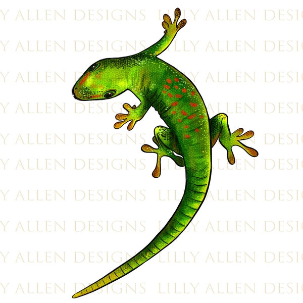 Green Lizard Illustrations Png Digital Download,Reptile Sublimation Png, Printable Animal Png Image For Wall Art,Decoration,Crafts,Scrapbook