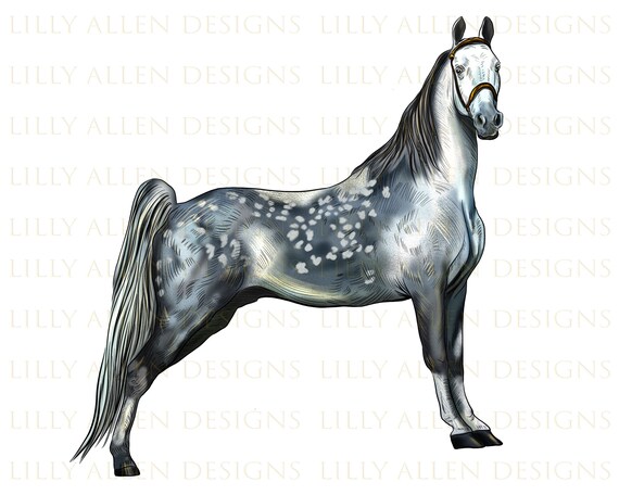 Tennessee Walking Horse Pnghorse Png Horse Png Sublimation | Etsy