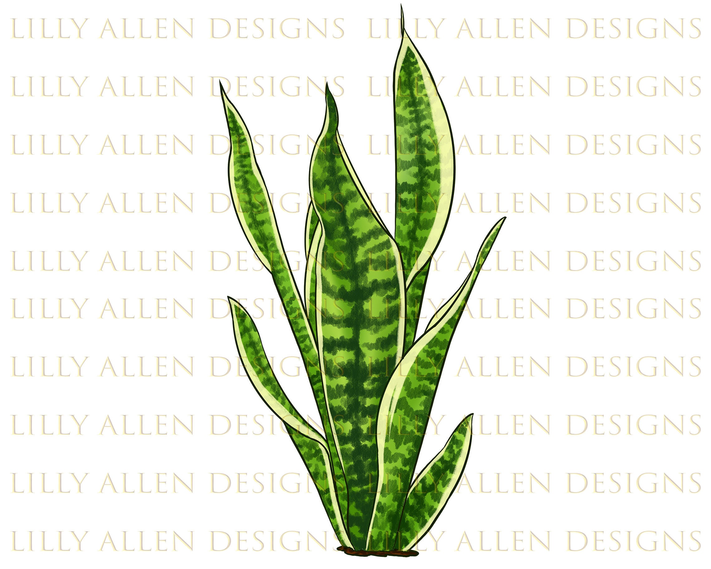 Snake Plant Png Sublimation Design House Plants Clipart Etsy Australia