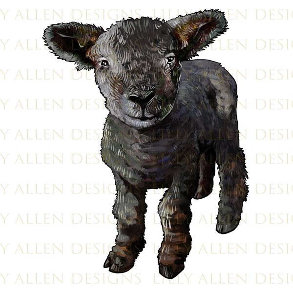 Southdown Baby Sheep Png, Hand Drawn Babydoll Southdown Lamb Png, Baby Sheep Png, Lamb Png, Sheep Sublimation Design, Digital Download
