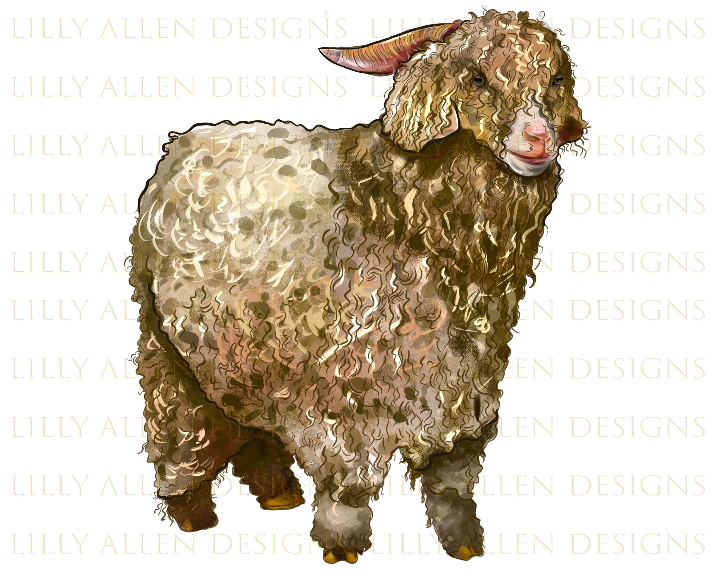 Angora goat-vector | Angora goats, Goats, Angora