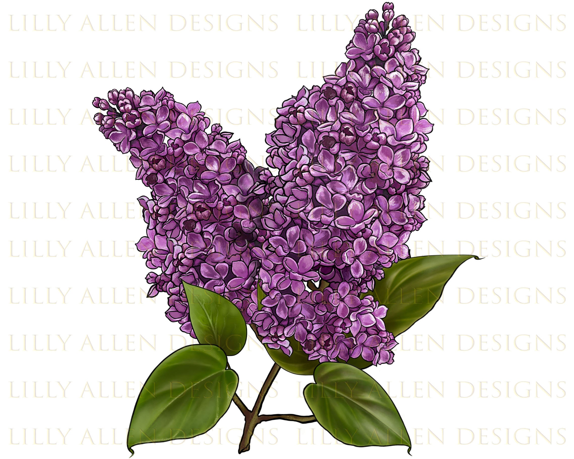 Purple Lilac Flower Illustrations Png Digital Download,flower Sublimation  Png, Printable Flower Png Image for Wall Art, Decoration, Crafts 