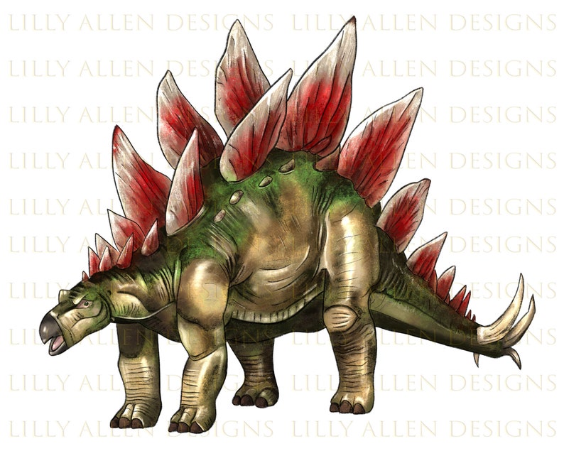 Stegosaurus Png Sublimation Design, Stegosaurus Png, Dino Png, Hand Drawn Dinosaur Png, Stegosaurus Portrait Png, Digital Download image 1
